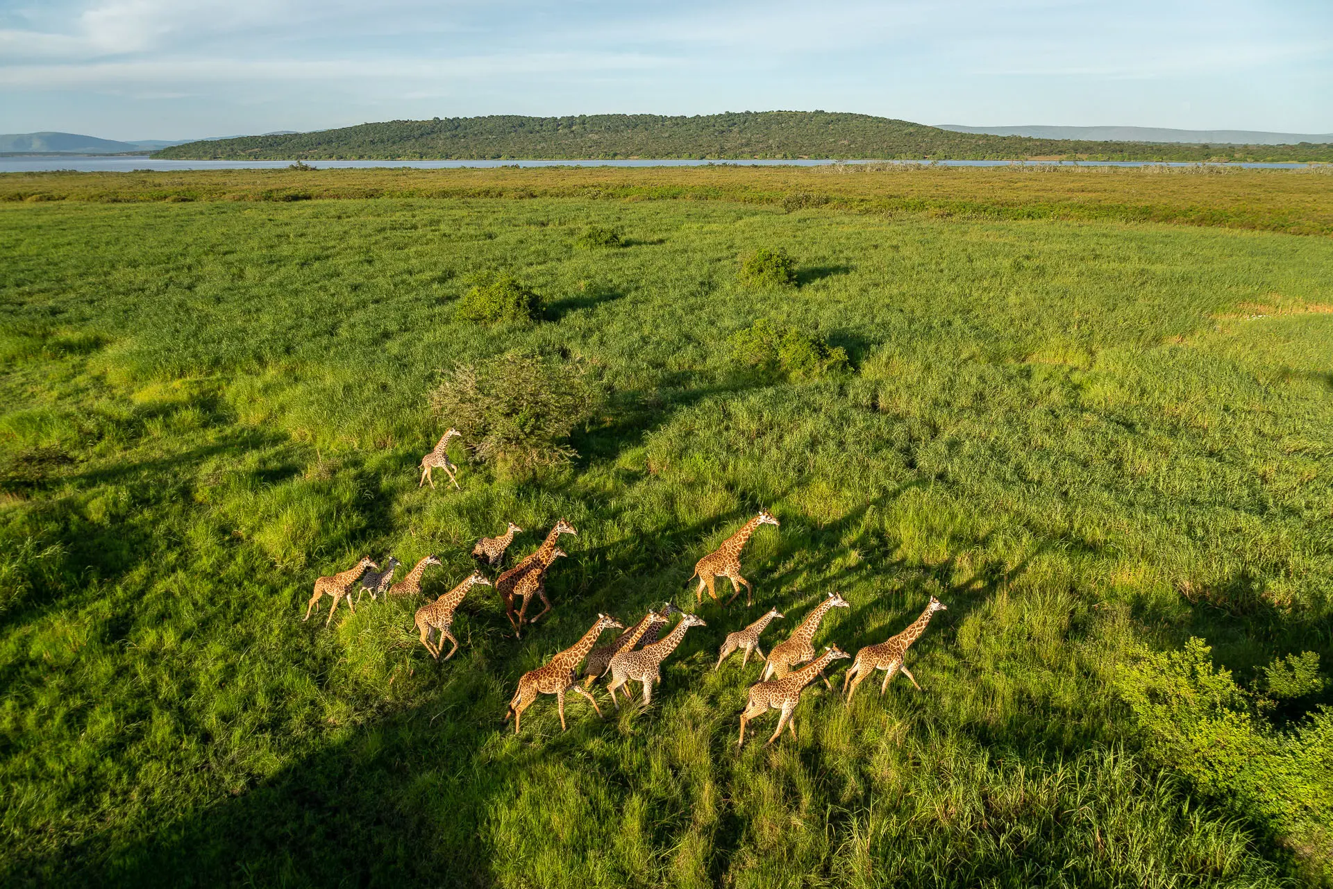 Akagera National Park en Ruanda con hipopótamos durante un safari privado