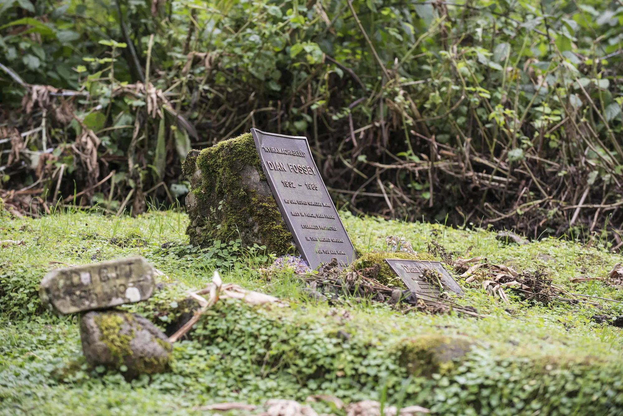 Tumba de Dian Fossey en Karisoke dentro de Volcanoes National Park en Ruanda