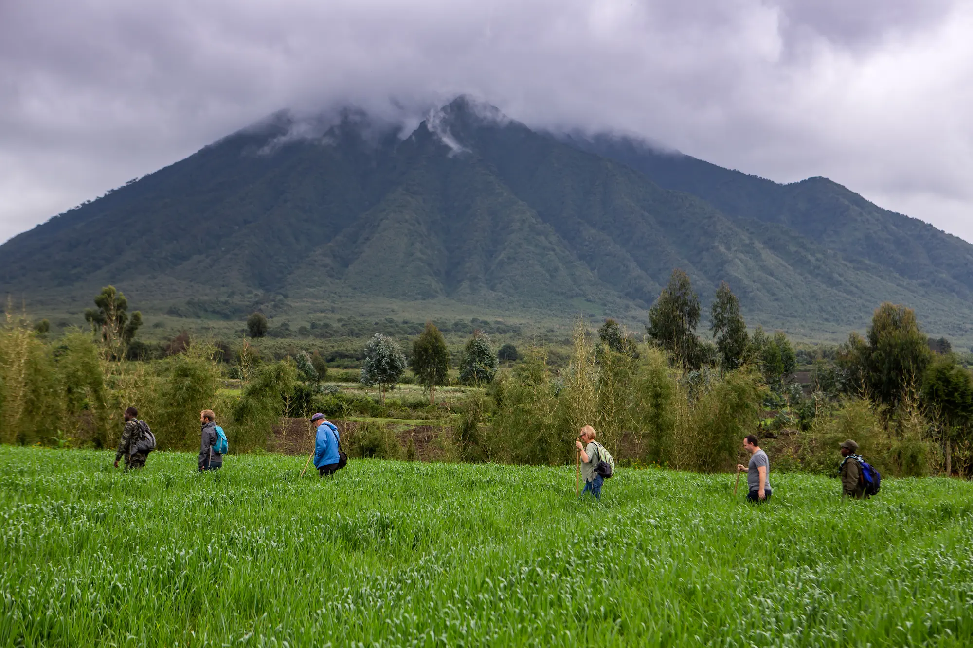 Gorilas en Ruanda durante un trekking en Volcanoes National Park