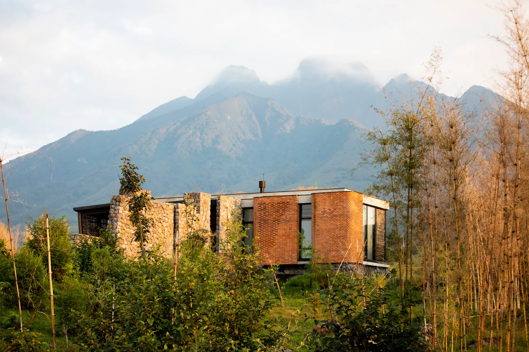 Lodge de lujo para ver gorilas en Ruanda o Uganda