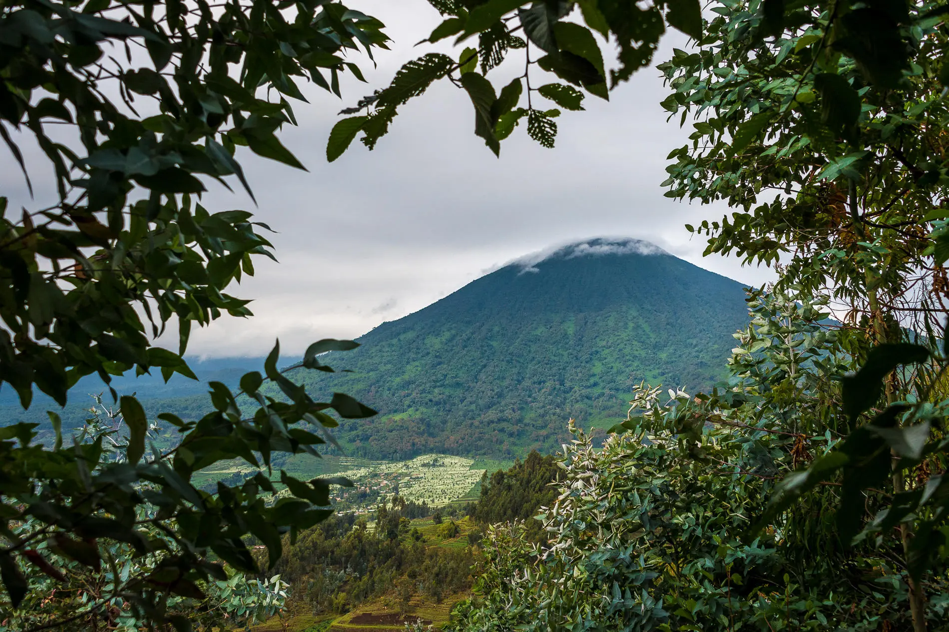 Paisaje volcánico de Volcanoes National Park en Ruanda