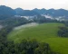 Nyungwe National Park dentro de una ruta privada por Ruanda