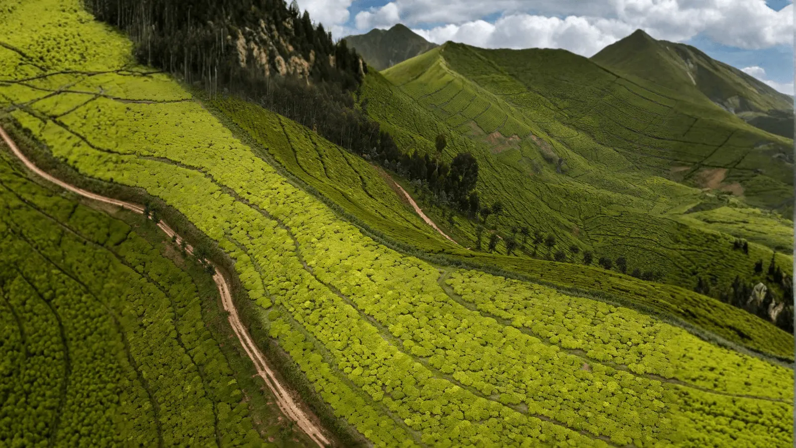 Paisaje de Ruanda en un viaje privado diseñado a medida